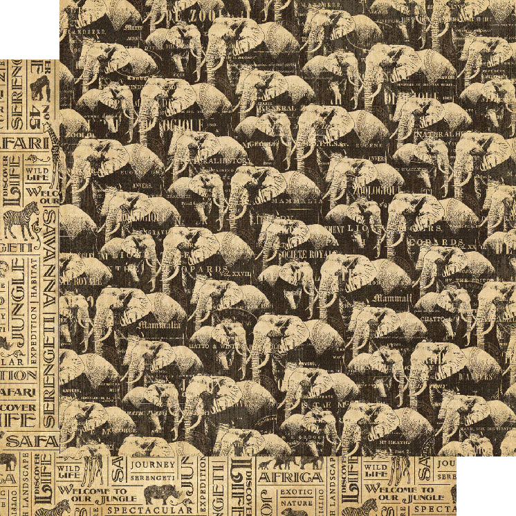 Safari Adventure Deluxe Collector's Edition Graphic 45