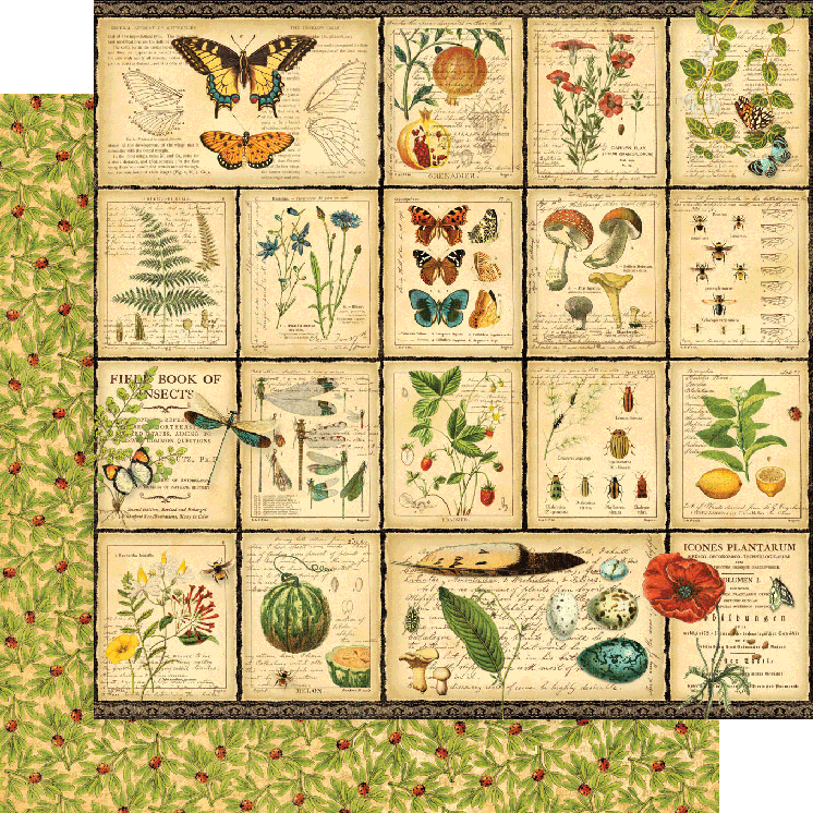 Nature Notebook 12 x 12 Deluxe Collectors Edition