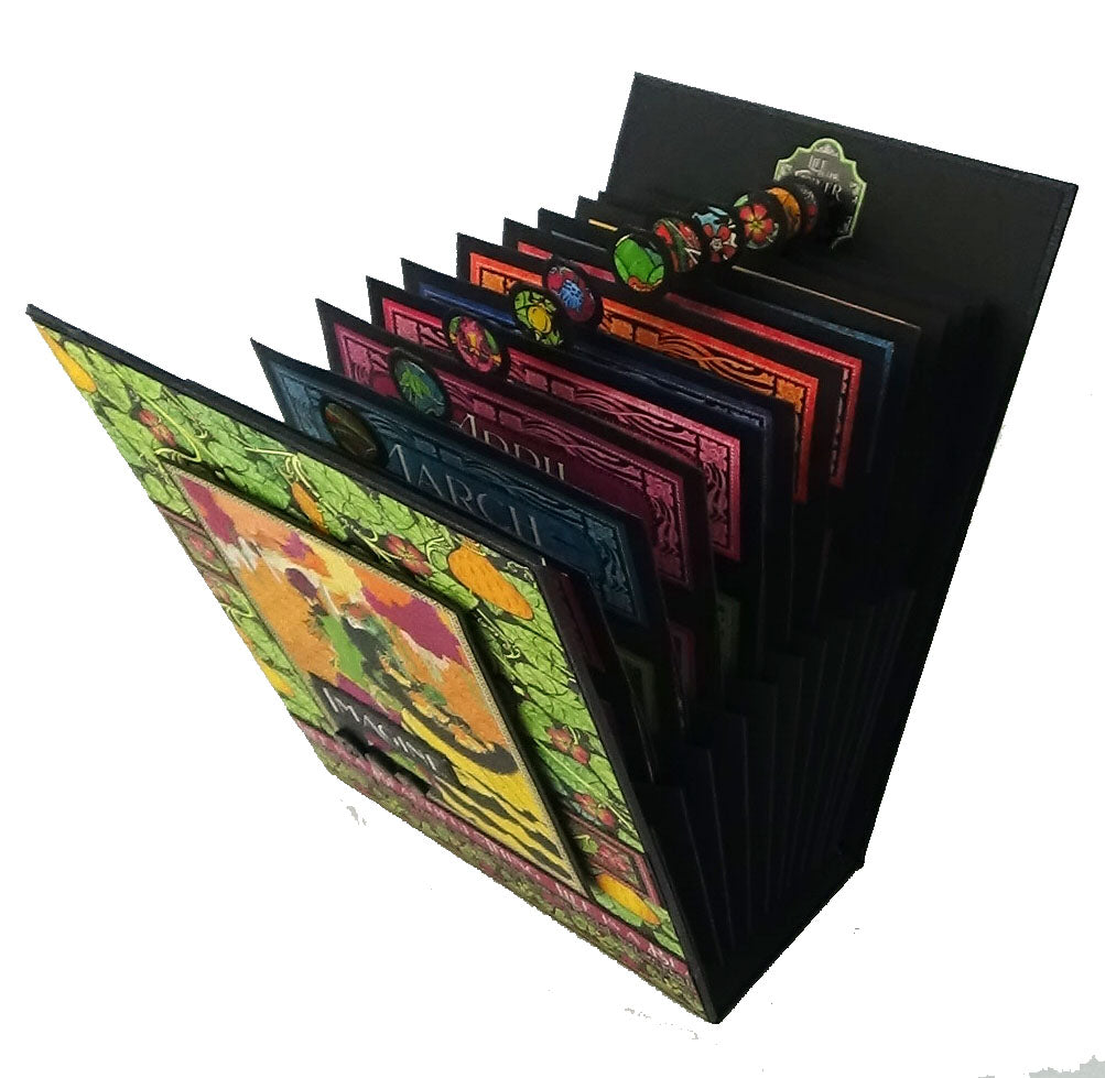 Twelve Pocket Concertina Album Bundle