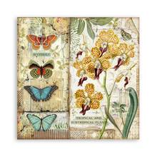 Amazonia 8 x 8 Paper Pad Stamperia