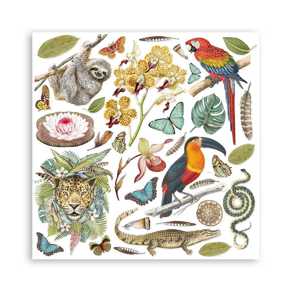 Amazonia 8 x 8 Paper Pad Stamperia