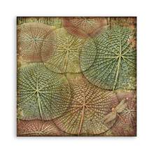 Amazonia 8 x 8 Paper Pad Stamperia