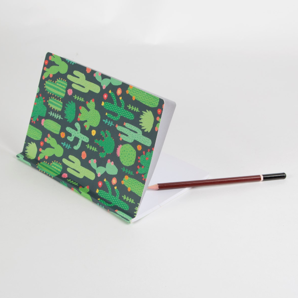 A5 Notebook - Colourful Cactus - Sass and Belle
